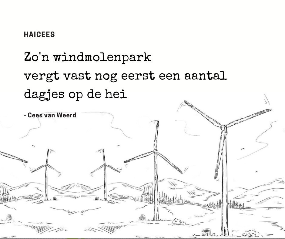 Haiku Zo’n windmolenpark vergt vast nog eerst een aantal dagjes op de hei