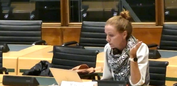 Marjolein Perdok (D66) tijdens ALTA-debat.jpg