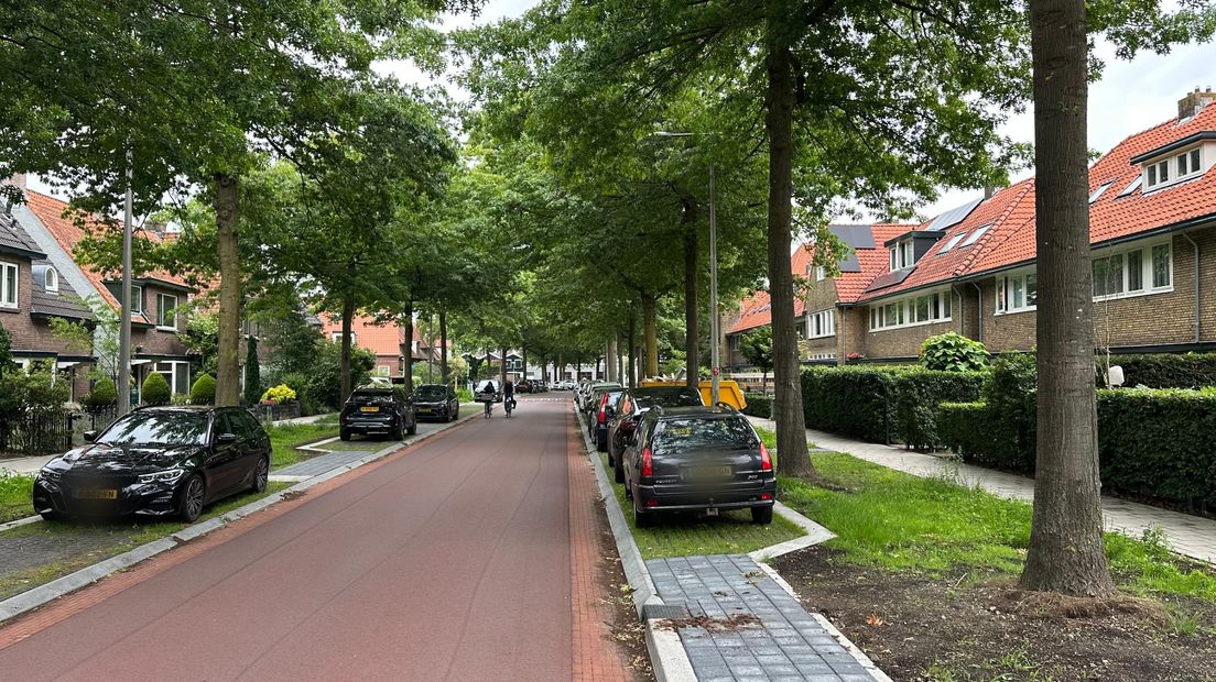 afbeelding 2.jpg